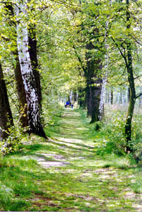 A trail along the Prague-Vienna Greenways